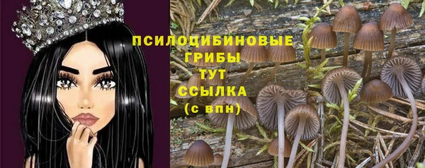 MDMA Premium VHQ Аркадак