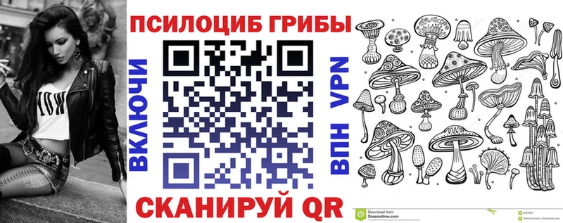 Купить  Пестово  Галлюциногенные грибы MAGIC MUSHROOMS 